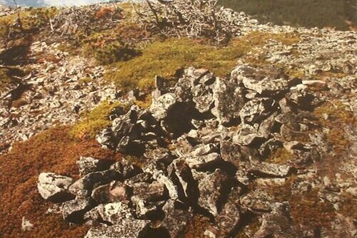 Vision Quest Above Crowsnest Pass Main Image