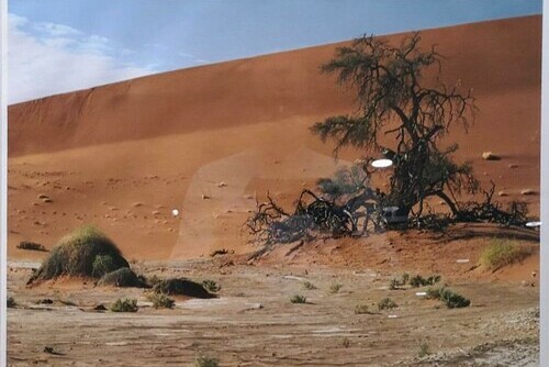 Dead Vlei, Namibia Main Image