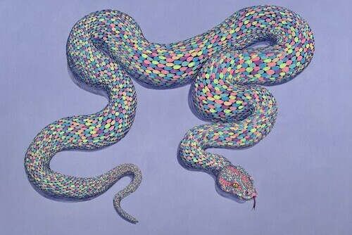 Party Snake Main Image