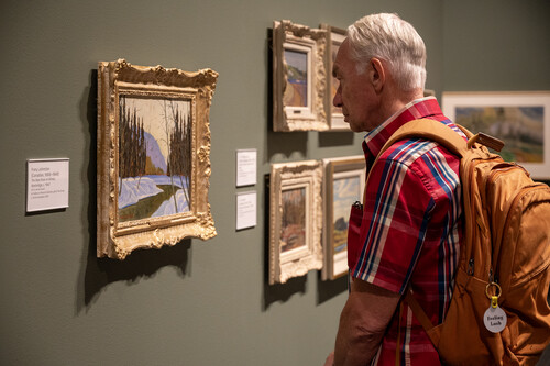 A man in a red plaid shirt looks at a landscape painting on the wall.