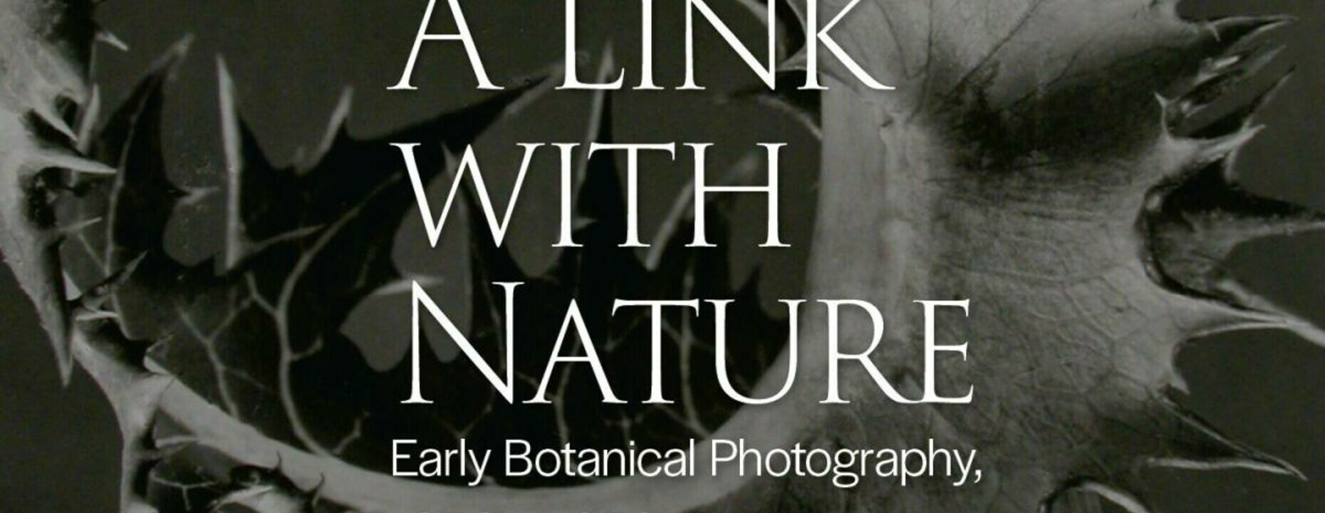 A Link with Nature: Early Botanical Photography, 1850 – 1950